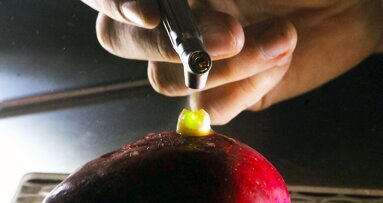 Introducción al uso del Láser en Odontología (2)