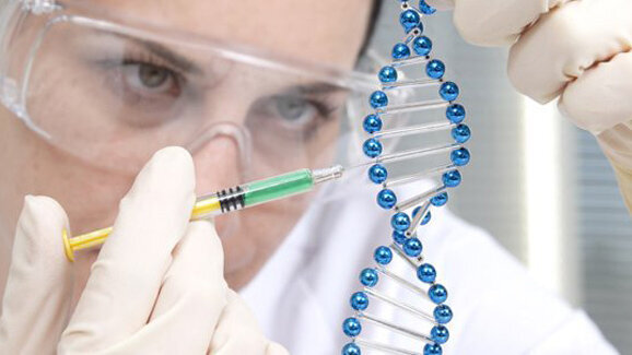 Neue Genorte für LKG-Spalte entdeckt