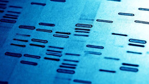 Според проучване в бъдеще гените ще играят важна роля в денталната медицина