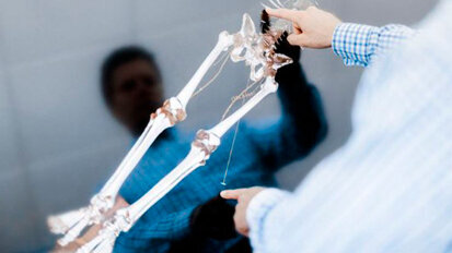 Formazione virtuale anatomica attraverso un nuovo schermo