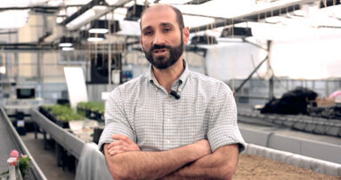 Interview: Diets rich in plant foods are increasingly associated with healthy ageing