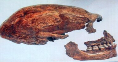 Voorouders eerder volwassen