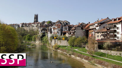 Jahrestagung der SSP in Freiburg