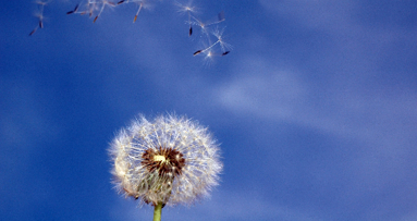 Dentisti: fondamentali per la rilevazione dei sintomi della respirazione con la bocca