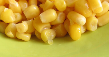 Ultradent bests eBay in ‘Reach Higher’ food drive