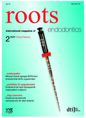 roots Turkey No. 2, 2020 roots Turkey No. 2, 2020