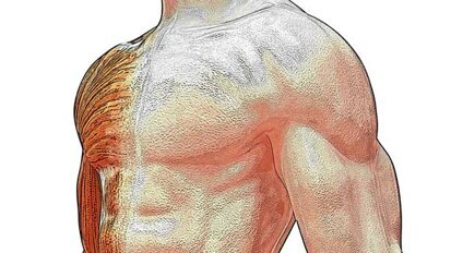 Treating gum disease helps heart, may lower overall health care costs Treating gum disease helps heart, may lower overall health care costs