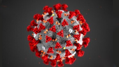 El Covid-19, ese enemigo invisible El Covid-19, ese enemigo invisible