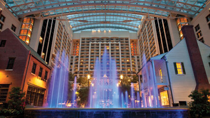 ‘Striving for Perfection’ is theme of this year’s AAE meeting ‘Striving for Perfection’ is theme of this year’s AAE meeting