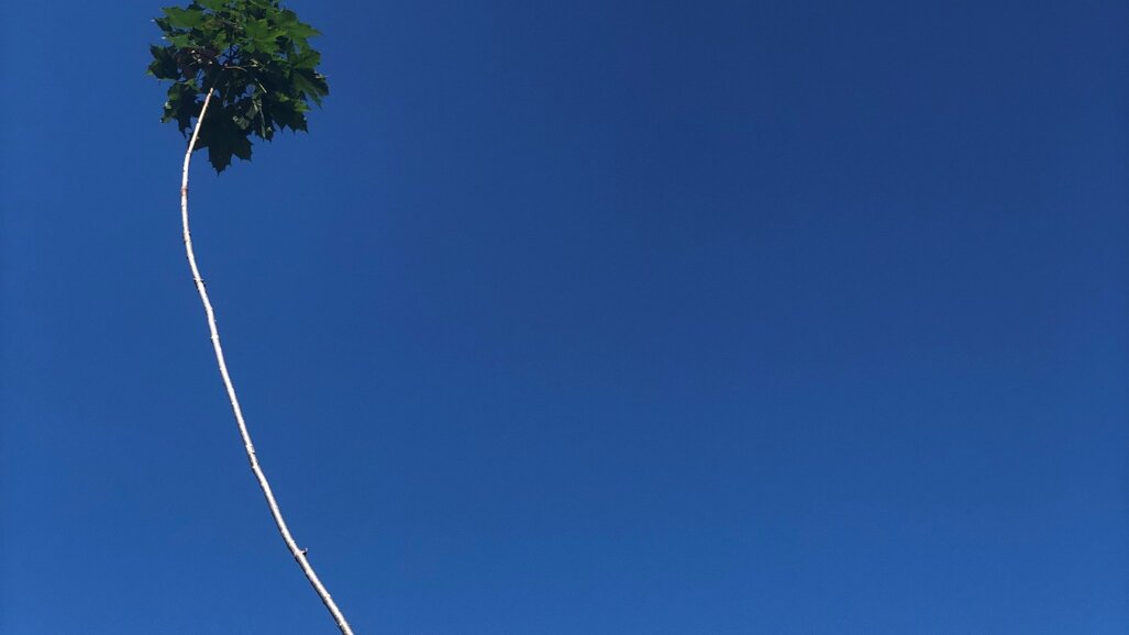 Column Reinier van de Vrie: Uitzwaaien