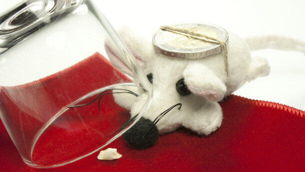 Suppression du programme MT'Dents en milieu scolaire