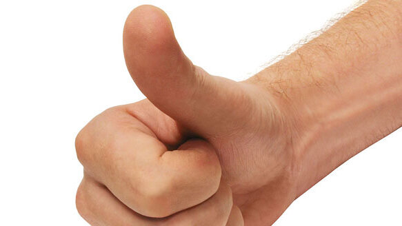 AAID names its newest honored fellows