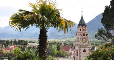 18. Frühjahrs-Seminar der Tiroler Zahnärzte