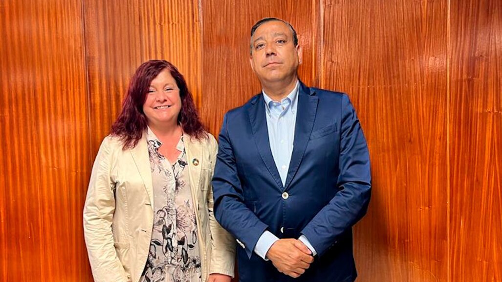 Ordenación Profesional discute la Odontología