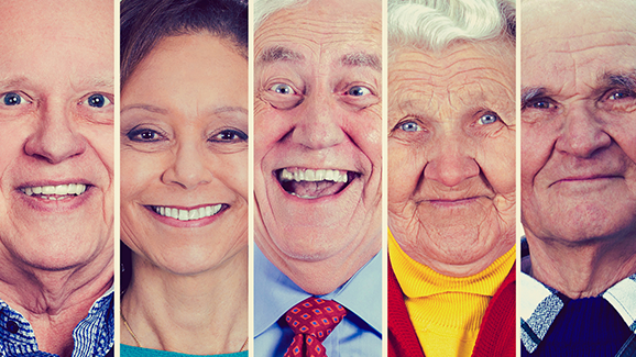 Anzahl der Zähne bestimmt Lebensalter