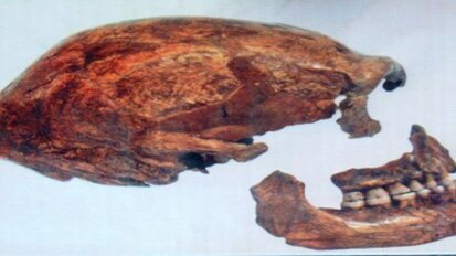 Voorouders eerder volwassen