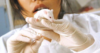 Un grand pas dans le remplacement par ingénierie d’un organe dentaire fonctionnel