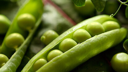 Witamina B zawarta w warzywach zmniejsza ryzyko rozwoju raka jamy ustnej