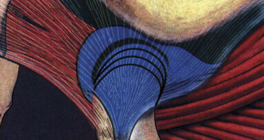 Tratamiento Craneofacial Miofuncional Postural Clase II con Activador Elástico Klammt II