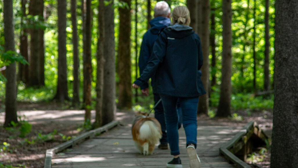 Ordens da Saúde apresentam propostas para promoção do envelhecimento saudável