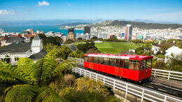 NZ Dental Congress 2019