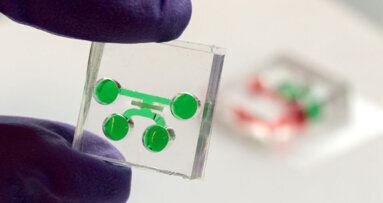 Miniature dental device mimics dentin–pulp interface