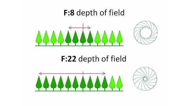 Photographie numérique dentaire – Part. I Réglages de votre appareil photo et des systèmes d’éclairage