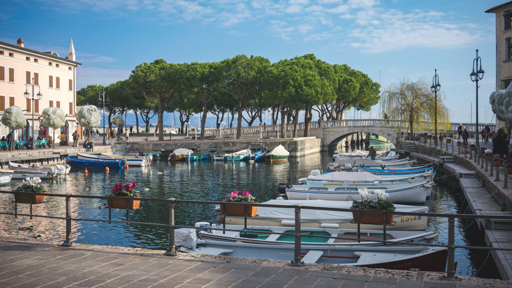 Dental Community 2019