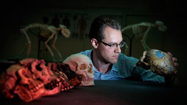 Dai denti si può prevedere l'evoluzione dell’uomo