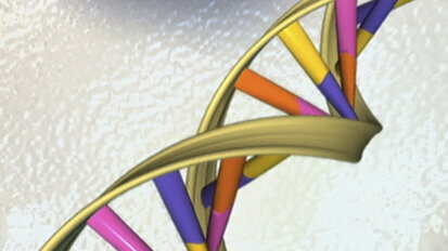 Quasi un terzo del genoma umano è coinvolto nella gengivite