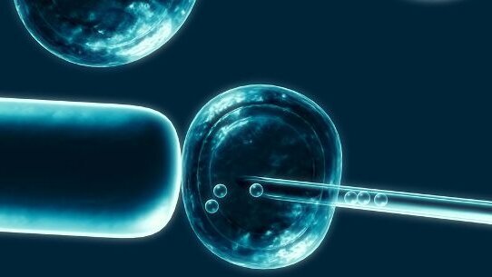 Dental pulp cells for stem cell banking