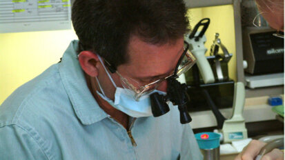 Malgrado la crisi i dentisti continuano a macinare posti di lavoro: saldo occupazionale positivo nel 2013 (1.218 unità)