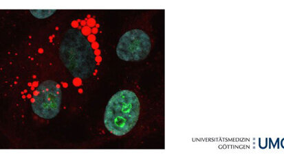 Genetische Lesezeichen programmieren Krebszellen
