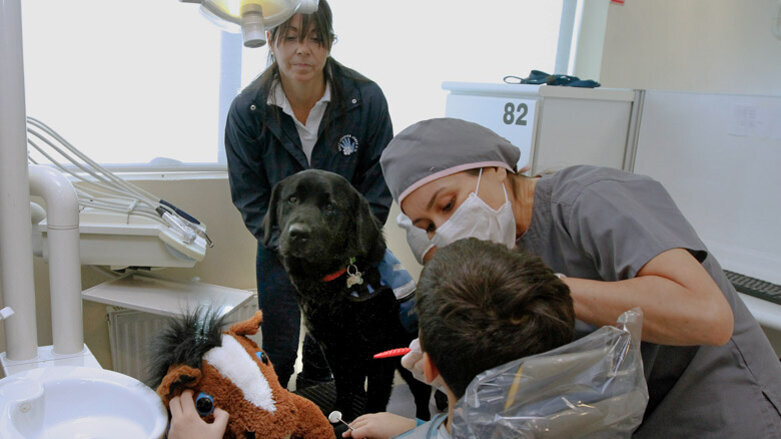 Interview: Animal-assisted therapy lowers stress levels