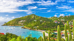 Saint Barth Dental 2019