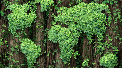 Henry Schein, une entreprise éco-responsable