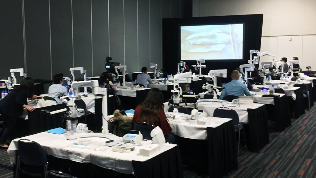 AAE’s annual meeting offers many ways to learn