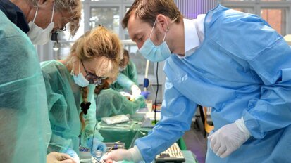 Bundesweite Kursreihe Sinuslifttechniken inkl. Humanpräparate-Kurs