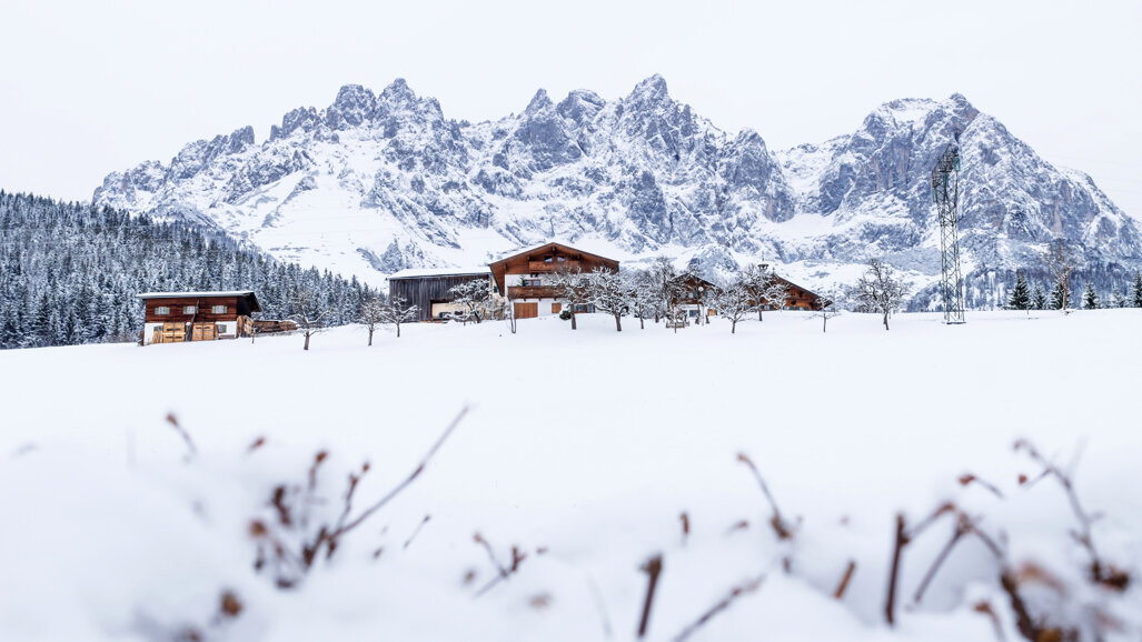 29. Wintersymposium 2020