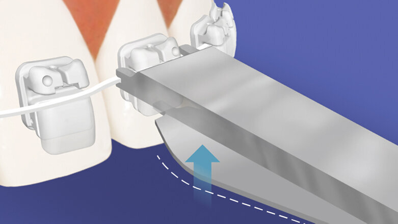 Forma se snoubí s funkcí