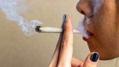 Cannabis use and oral health effects: What the evidence shows