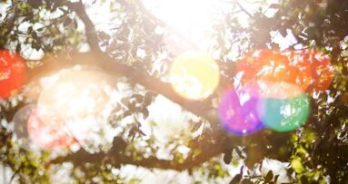 Column Richard Mastwijk: ’s Zomers ongemak