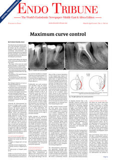 Endo Tribune Middle East & Africa No. 2, 2020