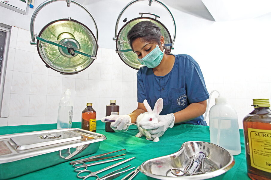 Saveetha Dental College 25