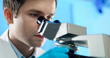 Naukowcy badają przezroczyste zęby głębinowych Aristostomias scintillans (ryb-smoków)