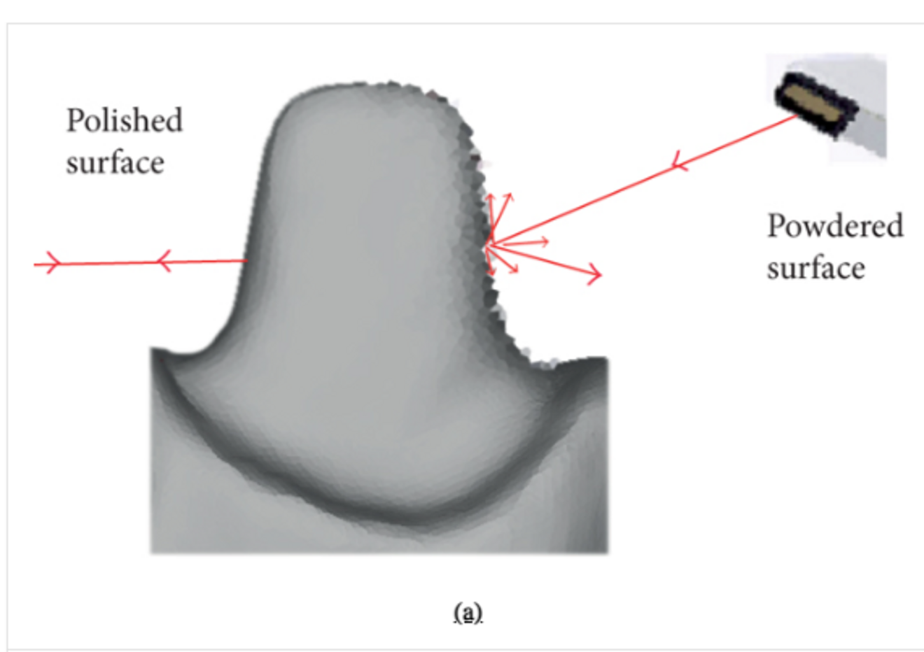 Fig. 15: Scanner interpreting the diffusion of light from the surface of objects. Shiny surfaces can interfere with the matching of the point of interest by the software owing to overexposure.