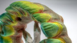 Bill Marais, RDT: Hybrid Zircona Restorations, Made In A Simple Way. hands-On Course