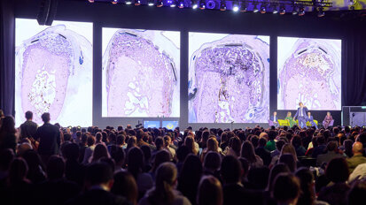 This year, special sessions were held to address the topics of artificial intelligence in periodontics and of women’s oral health, and a special series focused on navigating clinical crises. (Image: EFP)