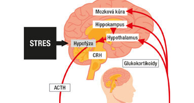 Stres – přítel nebo nepřítel?