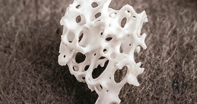 Più spazio per l'osso vitale